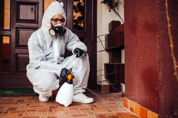 Reliable Cockroach Control contractor in Saddle River, NJ by Nex Pest Control